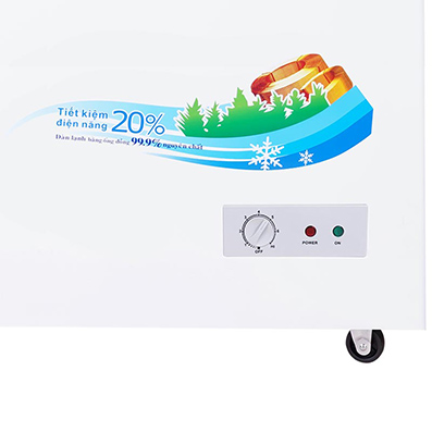 Tủ Đông Sanaky VH-2599W1 250 lít