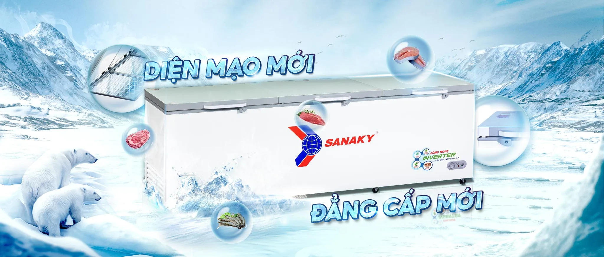 Tủ đông sanaky